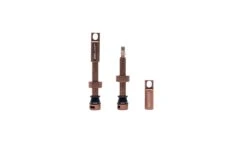 Selcof Tubeless Presta Valves Set -Planetx Bike Store WSSELTV P4